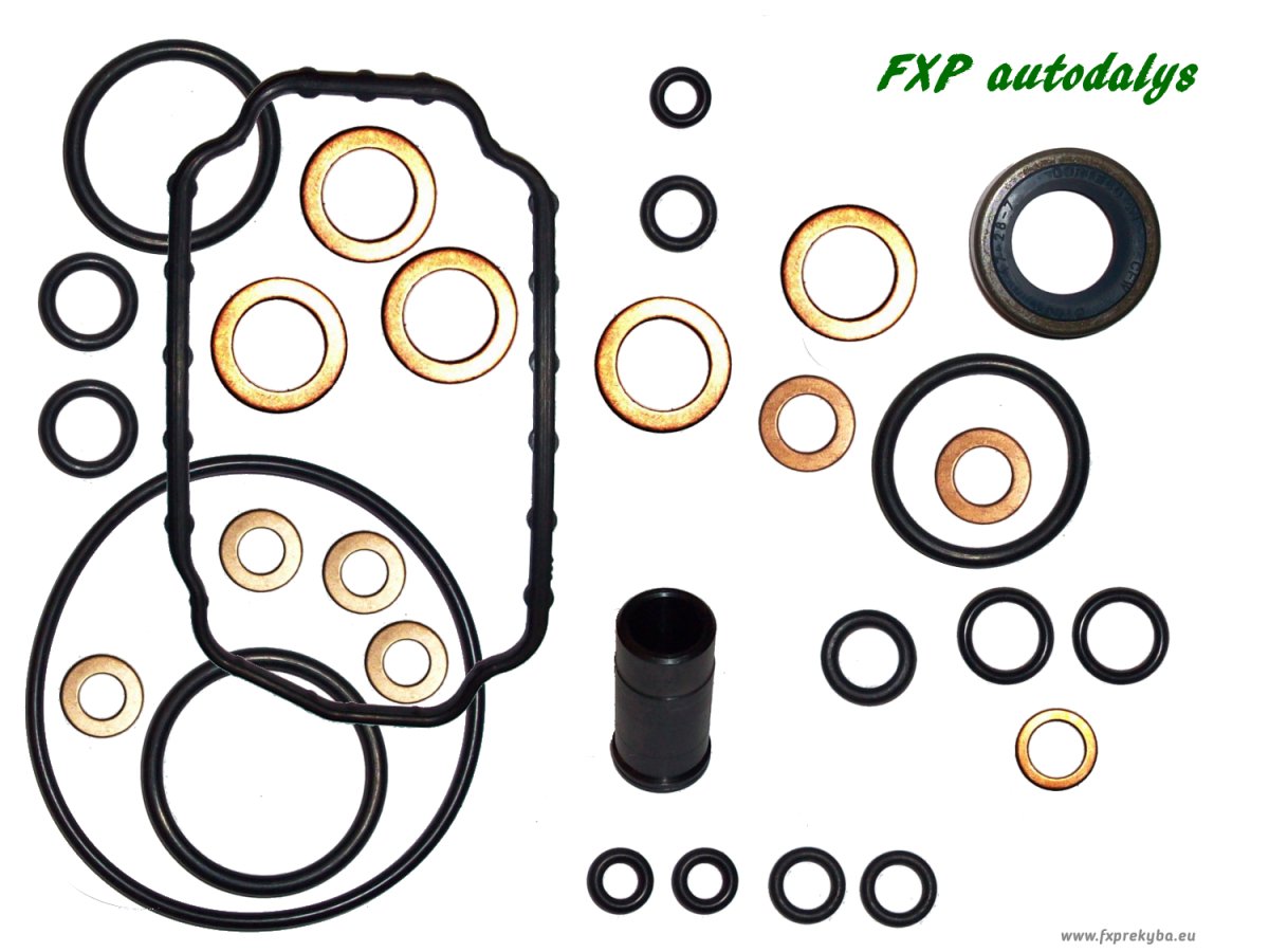 Fuel pompe Bosch 0 460 494 179 repair KIT