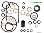 Fuel pompe Bosch 0 460 494 179 repair KIT