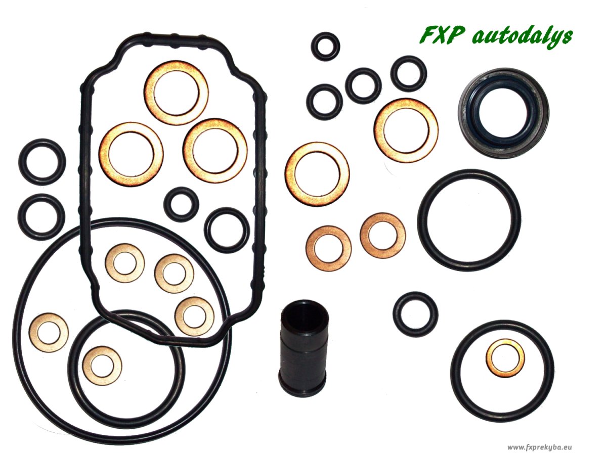 Fuel pompe Bosch 0 460 485 029 repair KIT