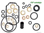 Fuel pompe Bosch 0 460 485 029 repair KIT